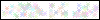 Auth Image
